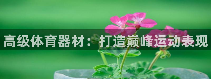 富联平台微信怎么注销：高级体育器材：打造巅峰运动表现