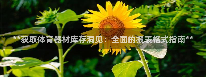 富联娱乐是什么时候开的店：**获取体育器材库存洞见：全面的报
