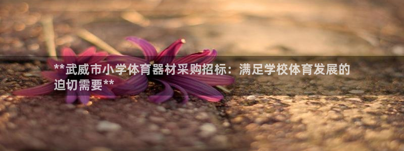 富联官网注册流程图片：**武威市小学体育器材采购招标