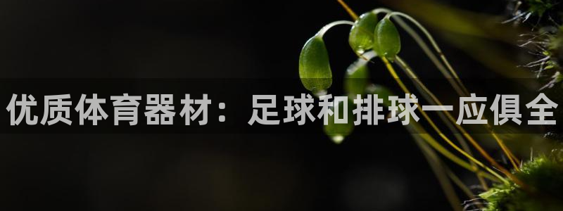 富联官网授权店铺：优质体育器材：足球和排球一应俱全