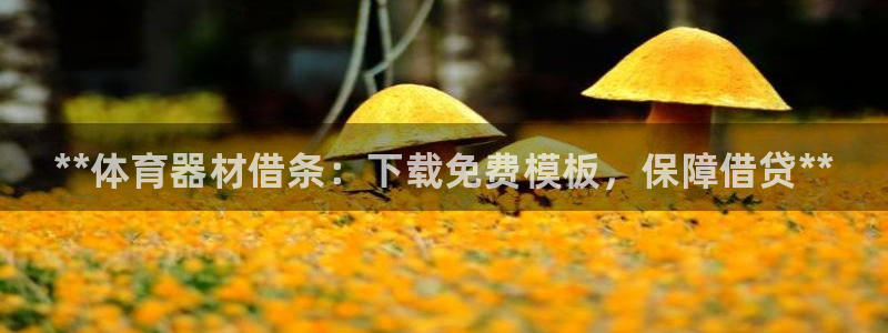 富联娱乐平台怎么样啊：**体育器材借条：下载免费模板，保障借