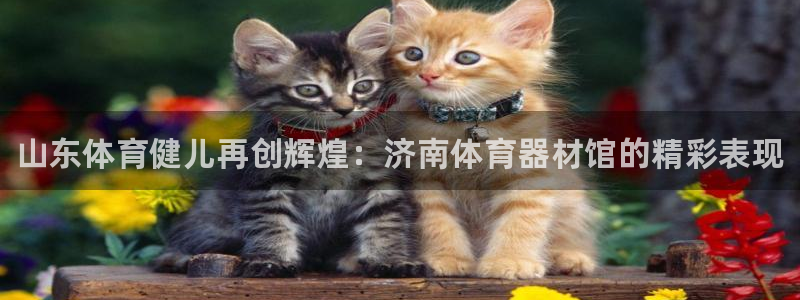 富联平台是什么平台：山东体育健儿再创辉煌：济南体育器