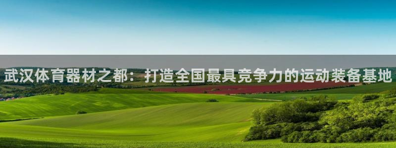 富联平台搜想 58534I 富联：武汉体育器材之都：