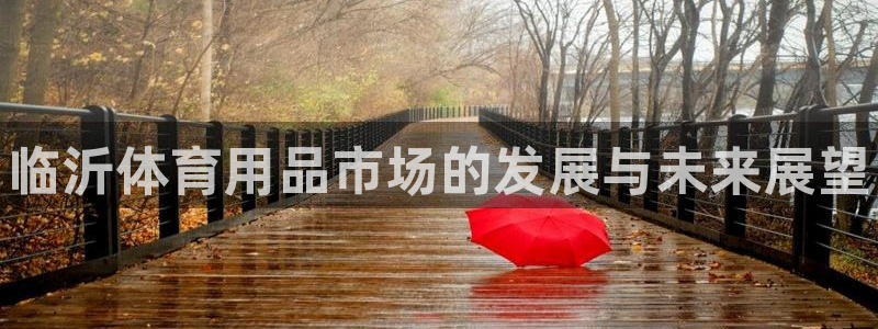 富联官方网站首页：临沂体育用品市场的发展与未来展望