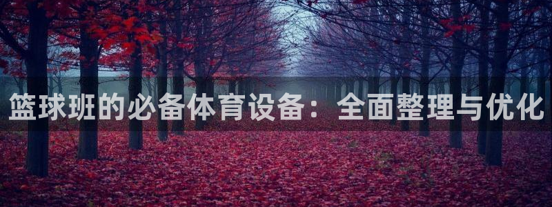 富联娱乐测速地址在哪：篮球班的必备体育设备：全面整理