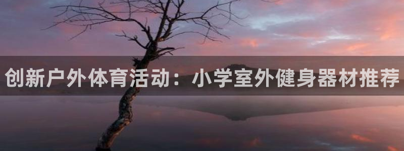 富联官网注册流程：创新户外体育活动：小学室外健身器材