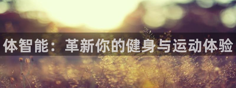 富联娱乐注册7o777皓：体智能：革新你的健身与运动体验